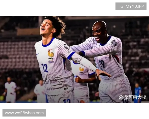 2023年世界杯法国战绩全景回顾：从历史到最新比赛的详细分析