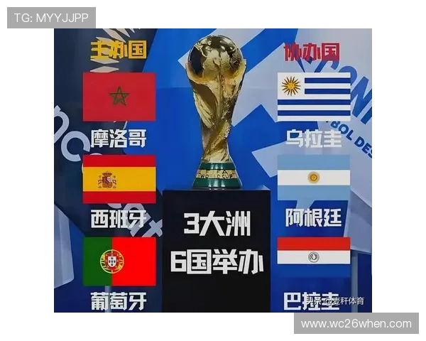 第一届世界杯的未来展望与发展建议，助力推动足球运动的全球普及与提升