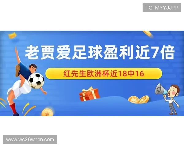 中国欧洲杯网上合法买球的风险防范措施，避免陷入非法平台的陷阱